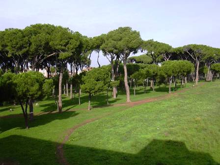 Pineta Sacchetti